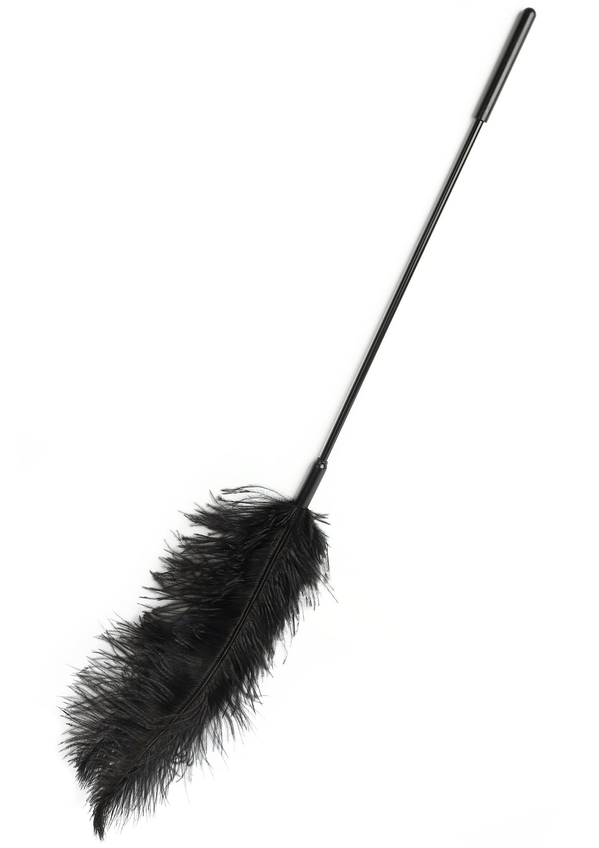 Titillateur plumes double