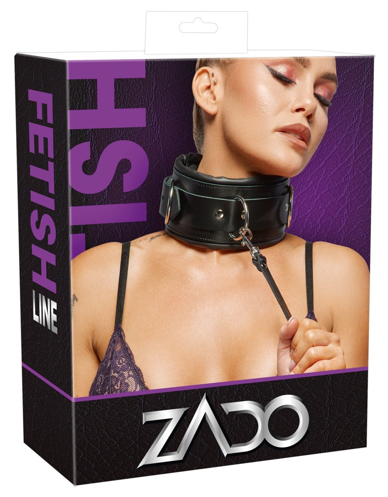 Leather Collar & Leash