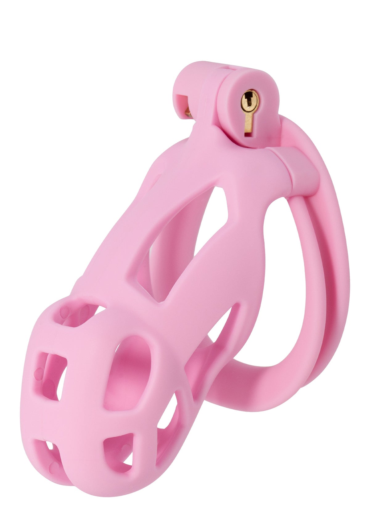 Cage de chasteté Penis Prison régulière