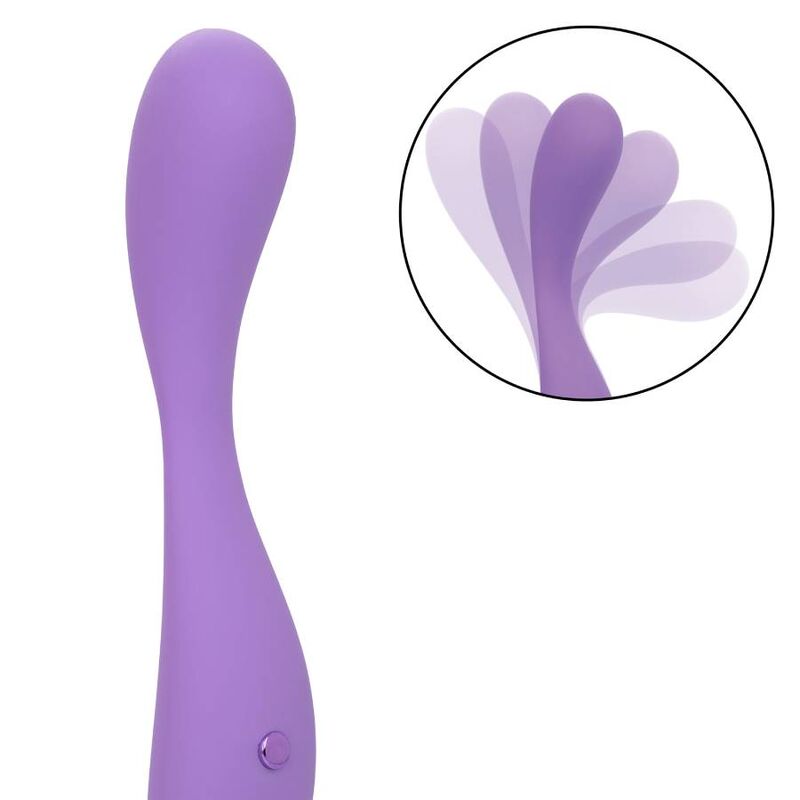 CALEXOTICS - HALF VIOLETA CONTOUR