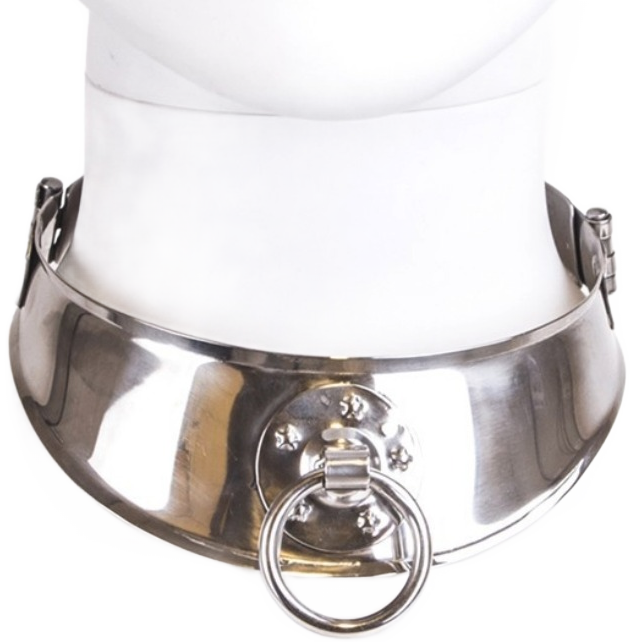 Metal Hard – Collier de retenue en avec anneau