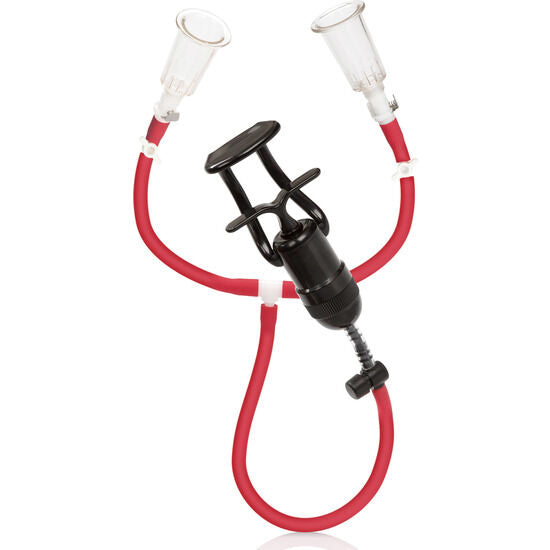 CalExotics – Ondes de stimulation du muscle du poulain
