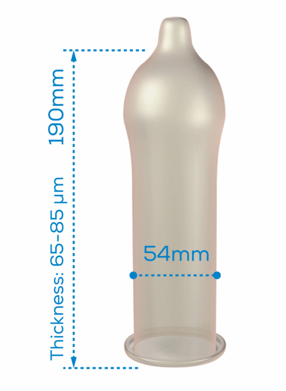 PASANTE - GAMA REGULAR CONDOM 12 UNITS