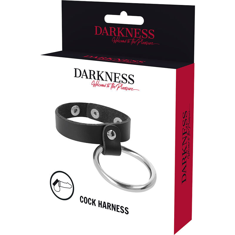 DARKNESS - METAL ANILLO FOR THE PENE AND TESTICULOS