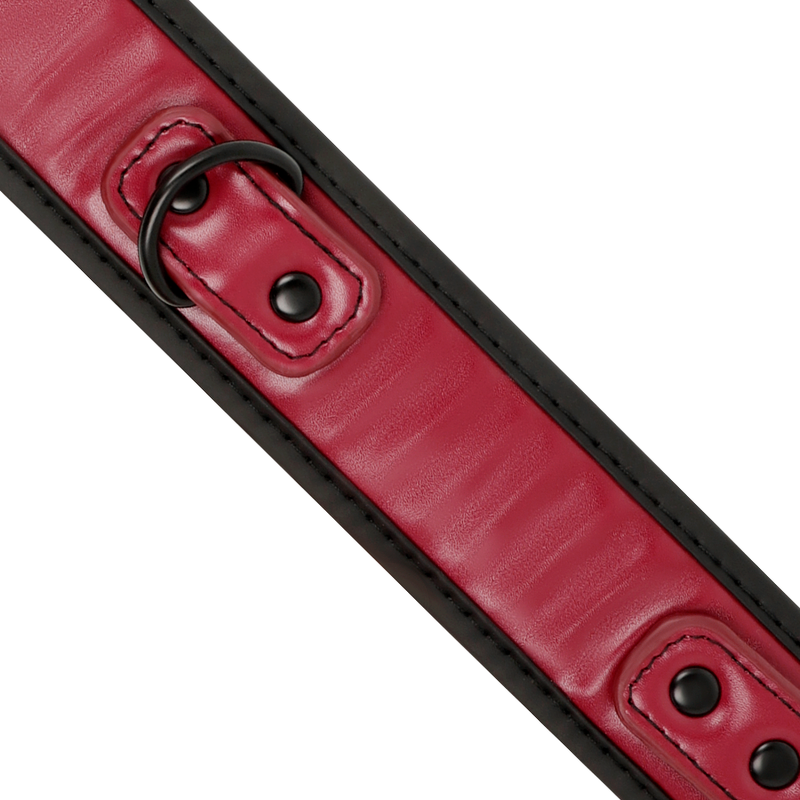 FETISH SUBMISSIVE DARK ROOM - COLLAR WITH CADENA WITH FORRO DE NEOPRENO
