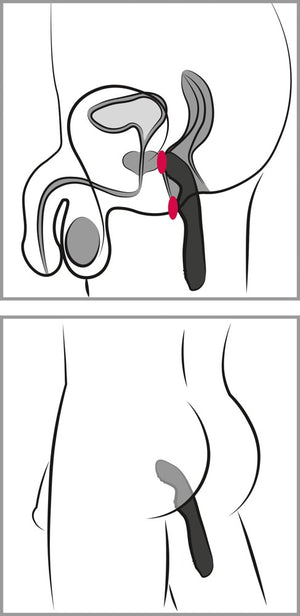 Rebel P-Spot Vibrator