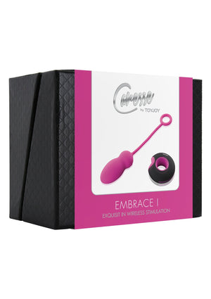 Embrace I Remote Control Egg