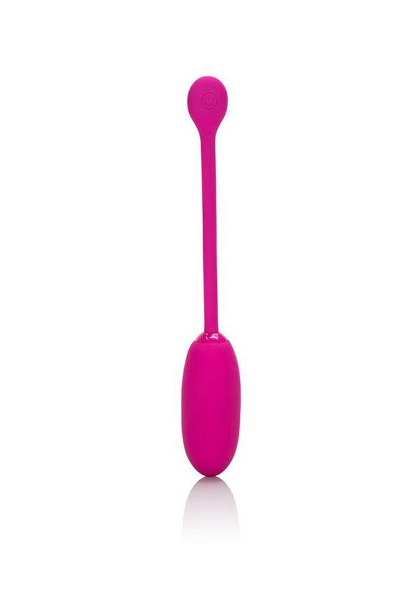 Boule de Kegel rechargeable avancée