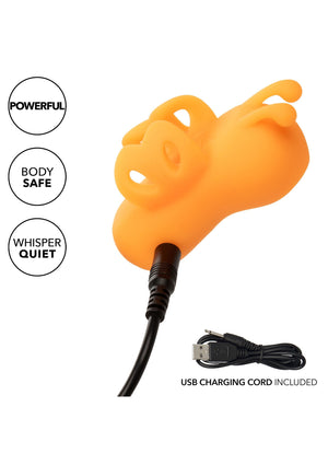 The Buzzing Vibrator