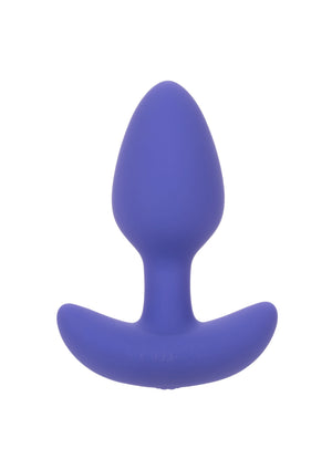 Plug anal conique contrôlé par application