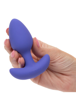 Plug anal conique contrôlé par application