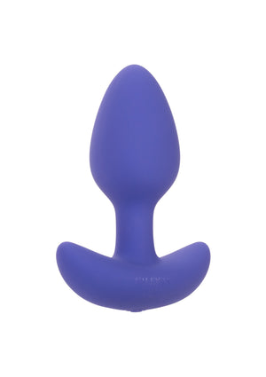 Plug anal conique contrôlé par application