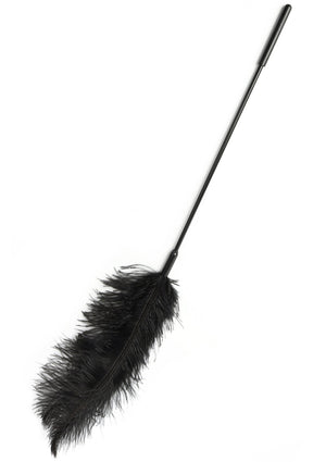 Titillateur plumes double