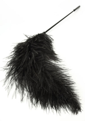 Titillateur plumes double