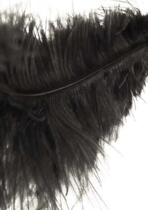 Titillateur plumes double