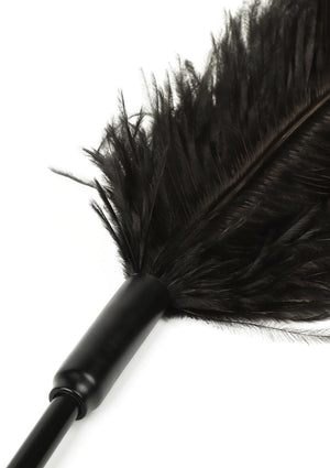 Titillateur plumes double