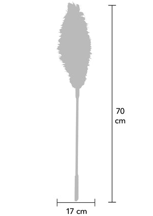 Titillateur plumes double