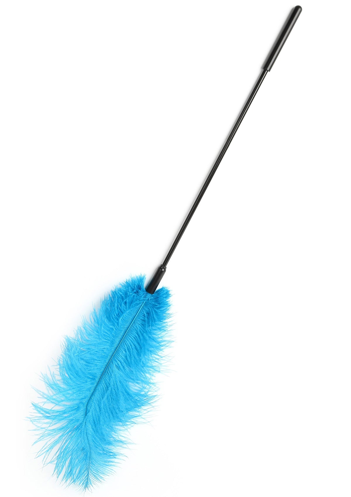 Titillateur plumes double