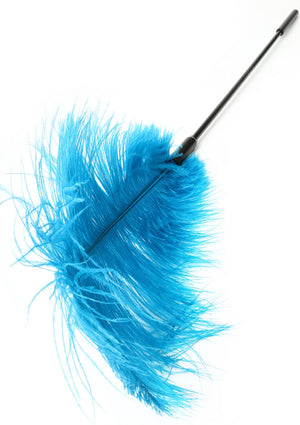 Titillateur plumes double