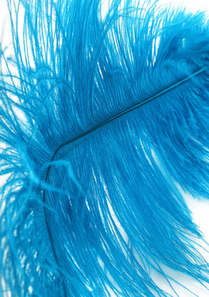 Titillateur plumes double