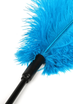Titillateur plumes double