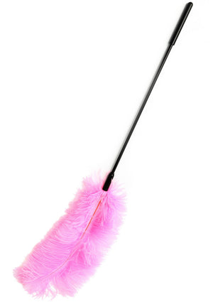 Titillateur plumes double