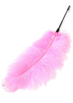 Titillateur plumes double