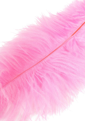 Titillateur plumes double