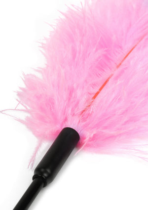Titillateur plumes double