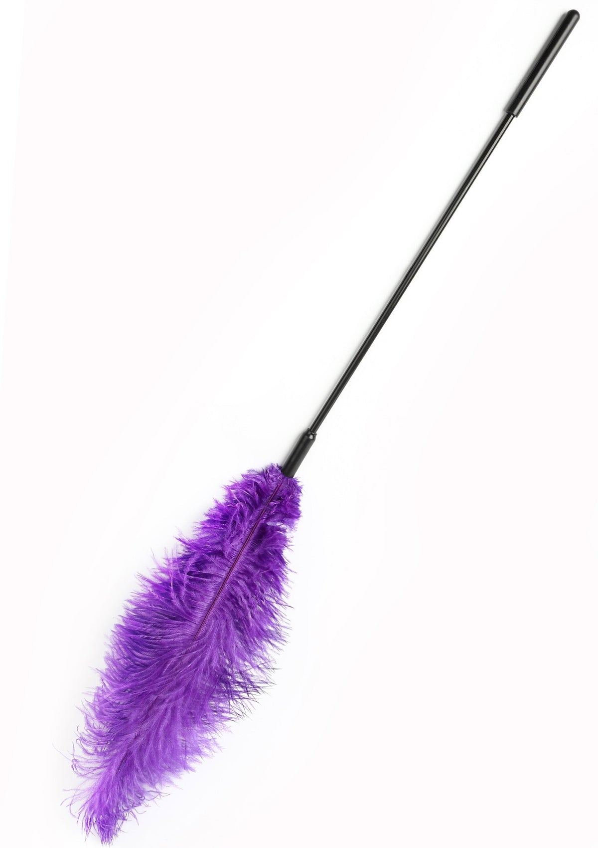 Titillateur plumes double