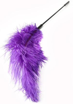 Titillateur plumes double