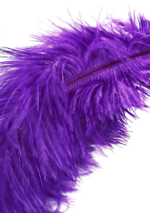 Titillateur plumes double