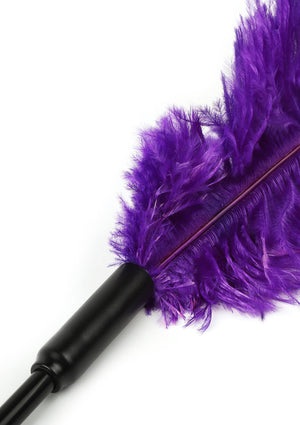 Titillateur plumes double