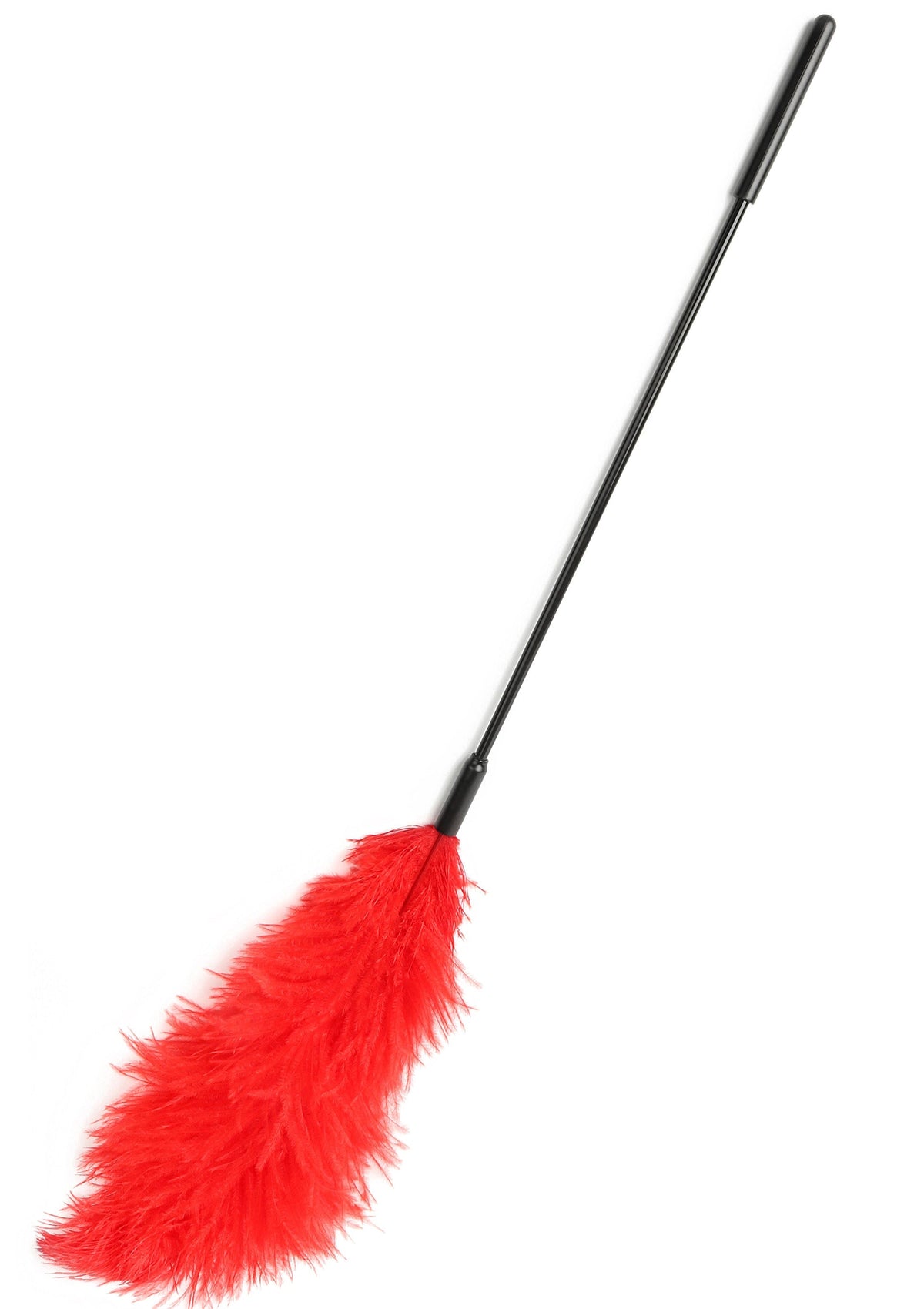 Titillateur plumes double