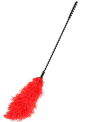 Titillateur plumes double