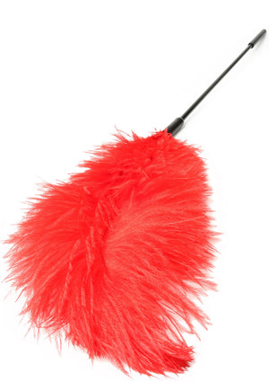 Titillateur plumes double