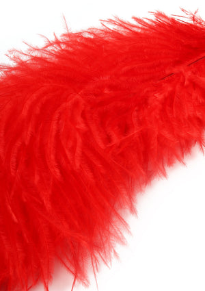 Titillateur plumes double