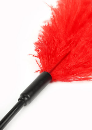 Titillateur plumes double