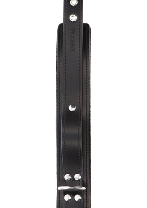 Heavy D-Ring Collar