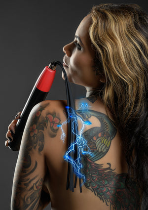 Fouet à électrostimulation