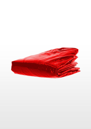 Wet Play Queen Size Bedsheet