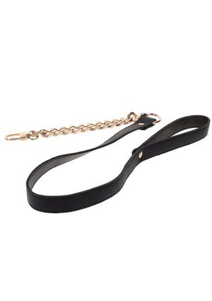 Statement Leash