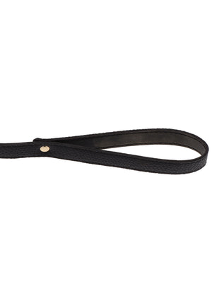 Statement Collar and leash