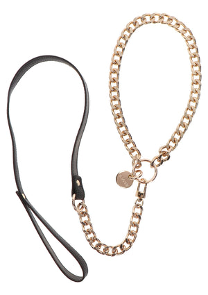 Statement Collar and leash