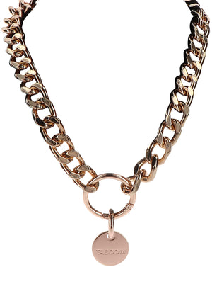Statement Collar and leash