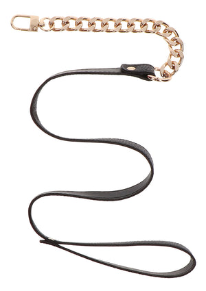 Statement Collar and leash