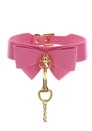 Collar and Leash