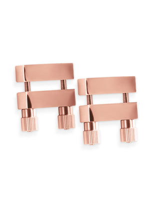 Nipple Clamps V1