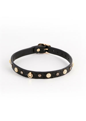 Alina Collar