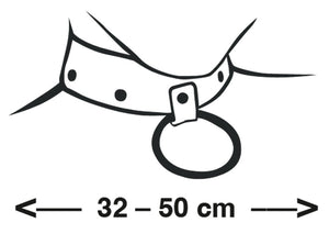 Leather Collar S-L